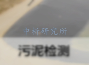 淤泥檢測