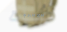 雙肩包檢測