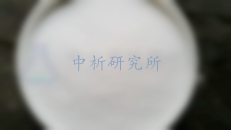 己內(nèi)酰胺檢測