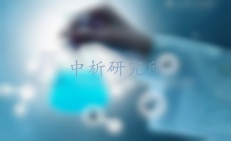 檢測報告