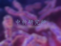 倍性鑒定