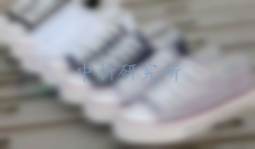 鞋帶檢測