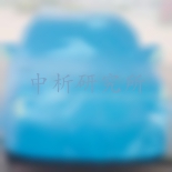 車衣檢測