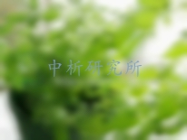 貓薄荷檢測