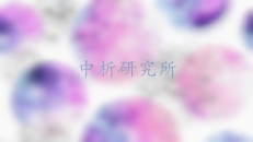 細(xì)胞侵襲實(shí)驗(yàn)