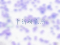 細(xì)胞遷移