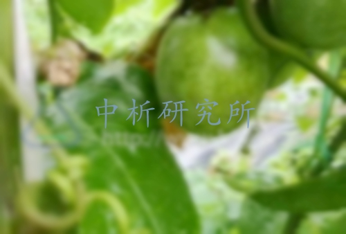 咪鮮胺檢測