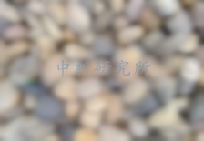 鵝卵石檢測(cè)