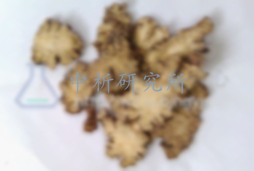 川芎檢測