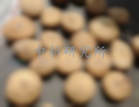 馬錢子檢測