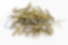 荊芥檢測