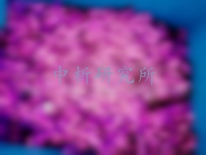 電子禮花檢測