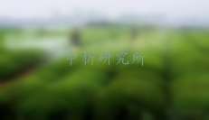 內吸磷檢測