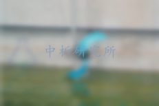 推流器檢測