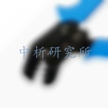棘輪檢測
