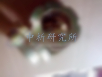 偏心套檢測