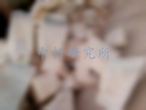 鋯剛玉檢測