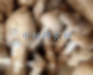 雞樅菌檢測,雞樅菌檢測報告