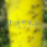 粘蟲板檢測
