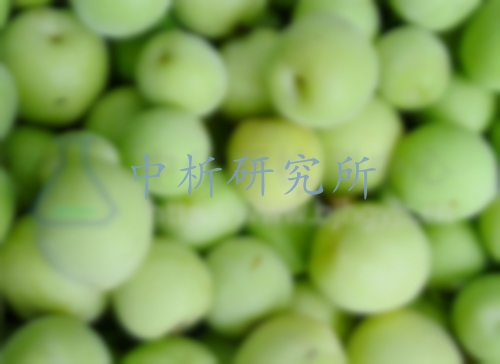青梅檢測(cè),青梅檢測(cè)報(bào)告