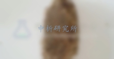 花生餅檢測,花生餅檢測報告