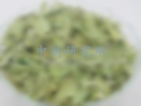 羅布麻檢測,羅布麻藥典檢測