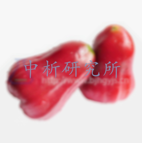 蓮霧檢測,蓮霧檢測報(bào)告