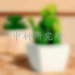 仙人掌檢測
