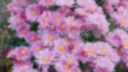 菊花粉檢測,菊花粉檢測報告