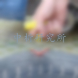 補胎液檢測,補胎液檢測報告