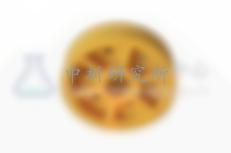 導(dǎo)向輪檢測,導(dǎo)向輪檢測報(bào)告
