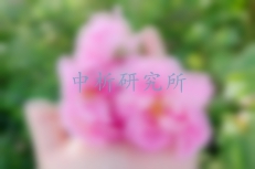 大馬士革玫瑰檢測,大馬士革玫瑰檢測報告