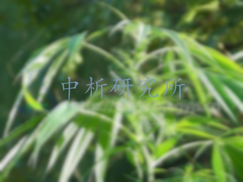火麻檢測,火麻檢測報告