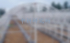 鋼結(jié)構(gòu)大棚檢測(cè),鋼結(jié)構(gòu)大棚檢測(cè)報(bào)告
