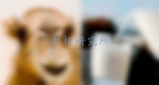 駝乳檢測