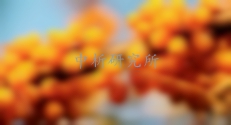 沙棘檢測(cè)