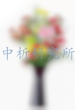 花瓶檢測(cè),花瓶檢測(cè)報(bào)告