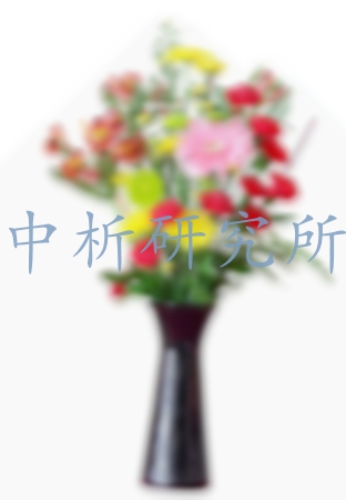 花瓶檢測(cè),花瓶檢測(cè)報(bào)告