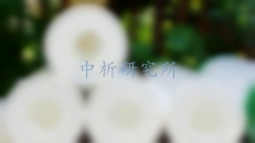 纏繞墊檢測(cè),纏繞墊檢測(cè)報(bào)告