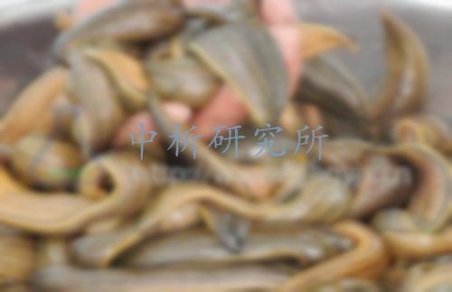 水蛭檢測(cè)