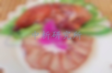 醬鹵肉檢測