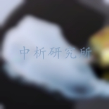 電力復合酯檢測