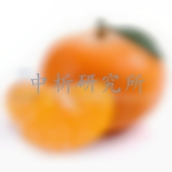 沃柑檢測