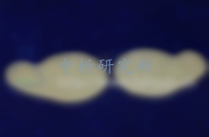眼貼檢測