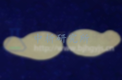 眼貼檢測