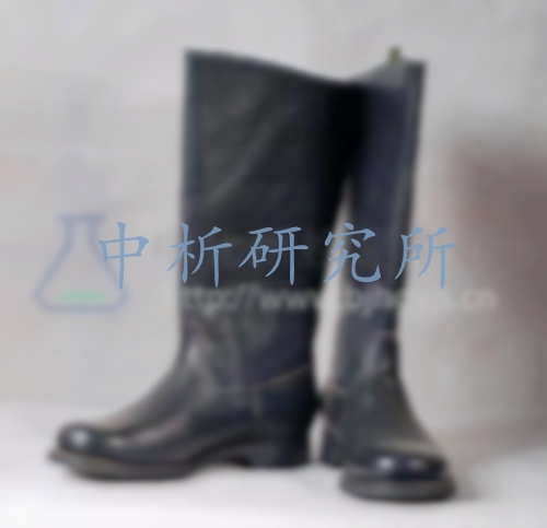 靴子檢測