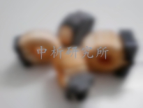 磁環(huán)檢測(cè)