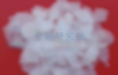 片堿檢測(cè)