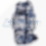 背囊檢測