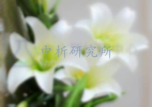 百合檢測
